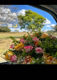 一言不发的文案短句