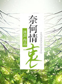 奈何情深的歌词含义
