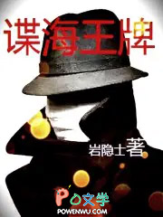 谍海风云电视剧