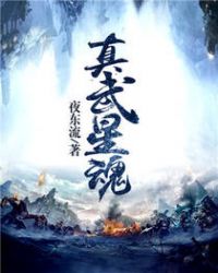 真武星魂笔趣阁全文